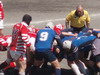 thumb_ P4230493.JPG